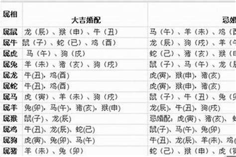 狗配什麼生肖|属狗的跟什么生肖最配